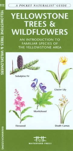 Yellowstone Trees & Wildflowers pdf epub mobi 电子书 下载