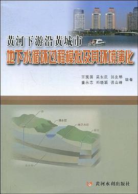黄河下游沿黄城市地下水循环过程模拟及其环境演化 pdf epub mobi 电子书 下载