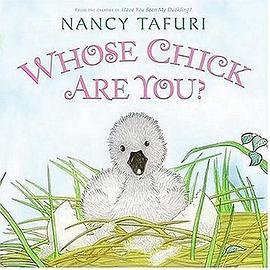 Whose Chick Are You?