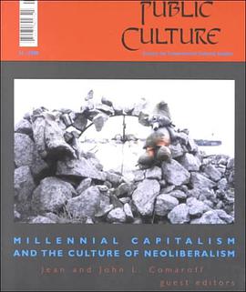Millennial Capitalism and the Culture of Neoliberalism pdf epub mobi 电子书 下载