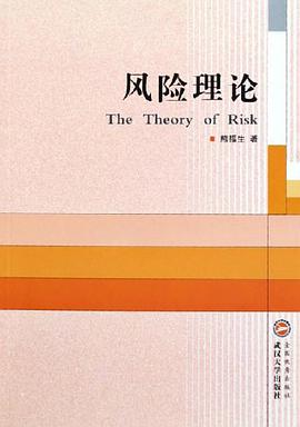风险理论 pdf epub mobi 电子书 下载