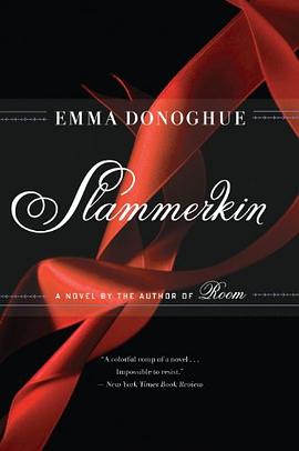 Slammerkin pdf epub mobi 电子书 下载