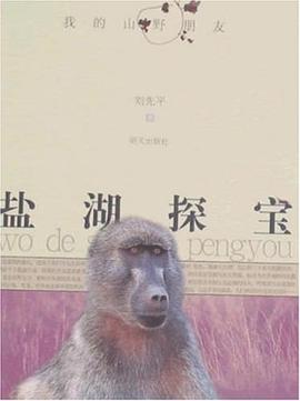盐湖探宝 pdf epub mobi 电子书 下载
