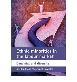 Ethnic Minorities in the Labour Market pdf epub mobi 下载
