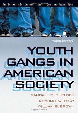 Youth Gangs in American Society pdf epub mobi 電子書 下載