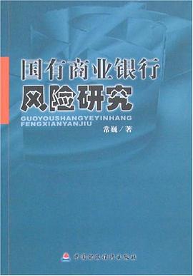 国有商业银行风险研究 pdf epub mobi 电子书 下载