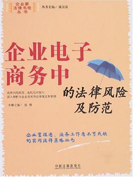 企业电子商务中的法律风险及防范 pdf epub mobi 电子书 下载