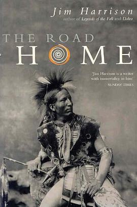 Road Home pdf epub mobi 下载