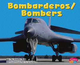 Bombarderos/Bombers pdf epub mobi 电子书 下载