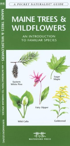 Maine Trees & Wildflowers pdf epub mobi 电子书 下载