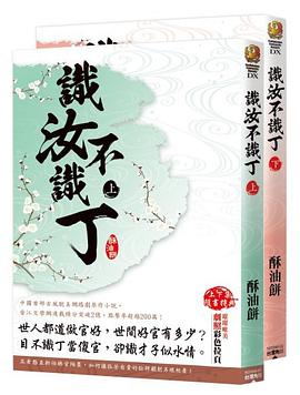 識汝不識丁(上下) pdf epub mobi 电子书 下载