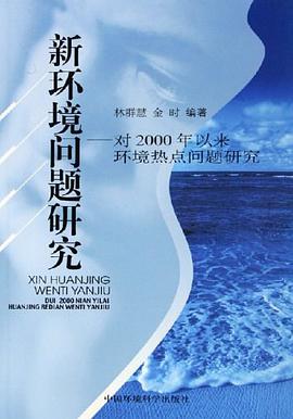 新环境问题研究 pdf epub mobi 电子书 下载
