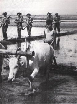 China-Burma-India pdf epub mobi 电子书 下载