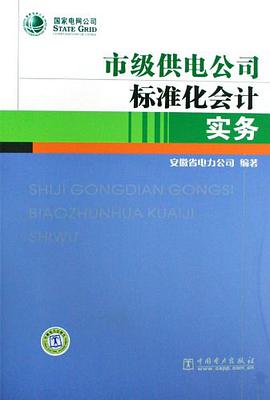市级供电公司标准化会计实务 pdf epub mobi 电子书 下载