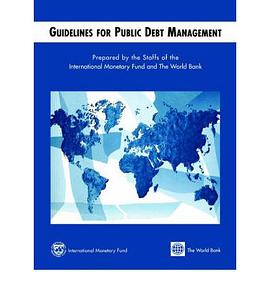 Guidelines for Public Debt Management pdf epub mobi 电子书 下载