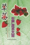 草莓生产技术大全 pdf epub mobi 电子书 下载