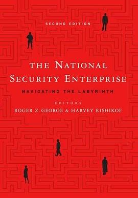 The National Security Enterprise: Navigating the Labyrinth pdf epub mobi 电子书 下载