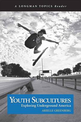Youth Subcultures pdf epub mobi 电子书 下载