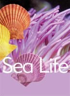 Sea Life pdf epub mobi 电子书 下载