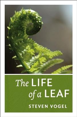 The Life of a Leaf pdf epub mobi 电子书 下载