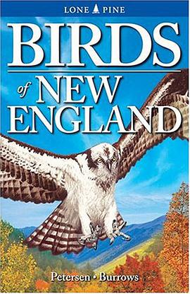 Birds of New England pdf epub mobi 电子书 下载