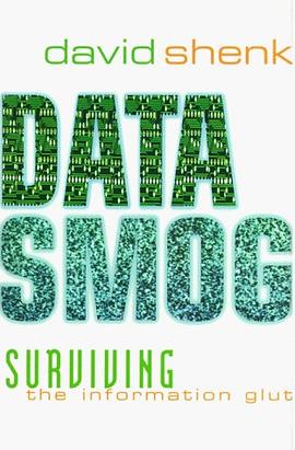 Data Smog pdf epub mobi 电子书 下载