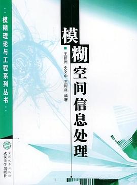 模糊空间信息处理 pdf epub mobi 电子书 下载