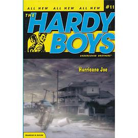 Hardy Boys #11 Hurricane Joe 哈迪男孩11 pdf epub mobi 电子书 下载