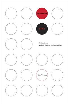 Amalgamation Schemes pdf epub mobi 电子书 下载