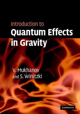 Introduction to Quantum Effects in Gravity pdf epub mobi 電子書 下載