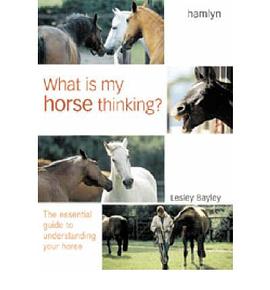 What Is My Horse Thinking pdf epub mobi 電子書 下載