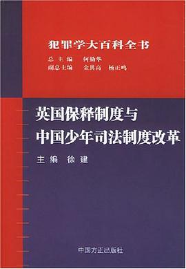 英国保释制度与中国少年司法制度改革 pdf epub mobi 电子书 下载