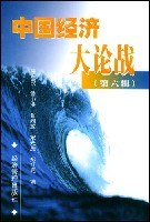 中国经济大论战（第六辑） pdf epub mobi 电子书 下载