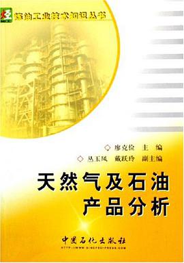 天然气及石油产品分析 pdf epub mobi 电子书 下载