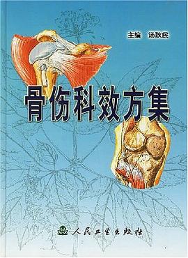 骨伤科效方集 pdf epub mobi 电子书 下载