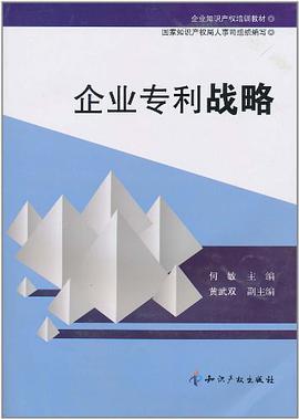 企业专利战略 pdf epub mobi 电子书 下载
