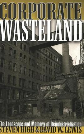 Corporate Wasteland pdf epub mobi 电子书 下载