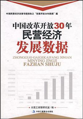 中国改革开放30年民营经济发展数据 pdf epub mobi 电子书 下载