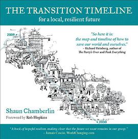 The Transition Timeline pdf epub mobi 电子书 下载