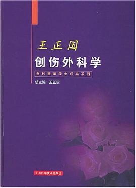 王正国创伤外科学 pdf epub mobi 电子书 下载