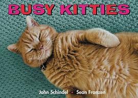 Busy Kitties pdf epub mobi 电子书 下载