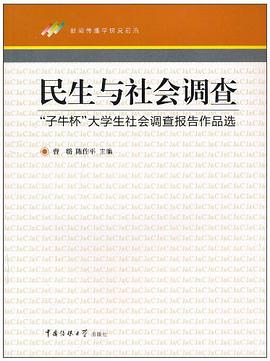 民生与社会调查 pdf epub mobi 下载