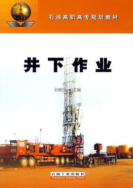 井下作业 pdf epub mobi 电子书 下载