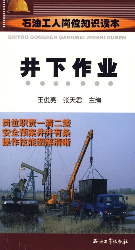 井下作业 pdf epub mobi 电子书 下载