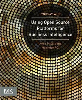 Using Open Source Platforms for Business Intelligence pdf epub mobi 电子书 下载