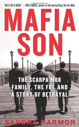 Mafia Son pdf epub mobi 电子书 下载