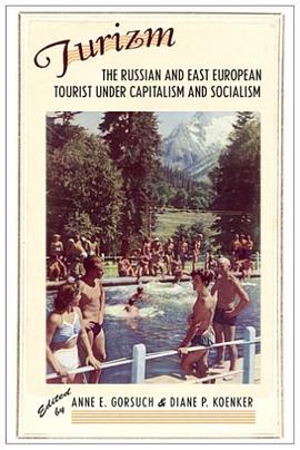 Turizm pdf epub mobi 电子书 下载