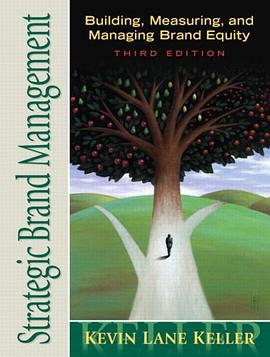 Strategic Brand Management pdf epub mobi 电子书 下载
