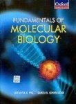 Fundamentals of Molecular Biology pdf epub mobi 下载