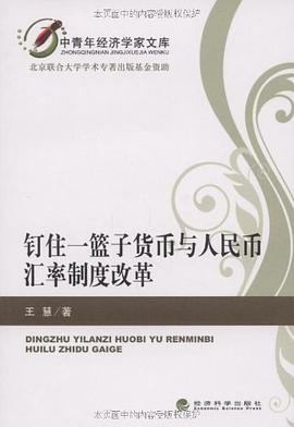 钉住一篮子货币与人民币汇率制度改革 pdf epub mobi 电子书 下载